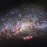 Un'Esplosione di Nuove Stelle in NGC 4490