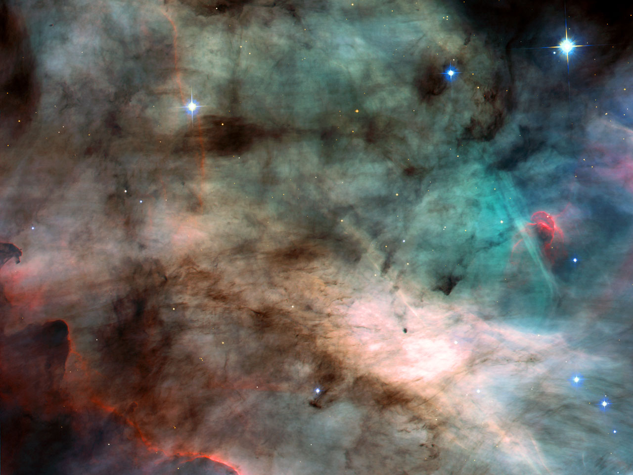 A watercolour fantasyland? No. It's actually a photograph of the centre of the Swan Nebula, or M17, a hotbed of newly born stars wrapped in colourful blankets of glowing gas and cradled in an enormous cold, dark hydrogen cloud. This stunning picture was taken by the newly installed Advanced Camera for Surveys (ACS) aboard the NASA/ESA Hubble Space Telescope. The region of the nebula shown in this picture is about 3500 times wider than our Solar System. The area also represents about 60 percent of the total view captured by ACS. The nebula resides 5500 light-years away in the constellation Sagittarius. Like its famous cousin in Orion, the Swan Nebula is illuminated by ultraviolet radiation from young, massive stars - each about six times hotter and 30 times more massive than the Sun - located just beyond the upper right corner of the image. The powerful radiation from these stars evaporates and erodes the dense cloud of cold gas within which the stars formed. The blistered walls of the hollow cloud shine primarily in the blue, green, and red light emitted by excited atoms of hydrogen, nitrogen, oxygen, and sulphur. Particularly striking is the rose-like feature, seen to the right of centre, which glows in the red light emitted by hydrogen and sulphur. As the infant stars evaporate the surrounding cloud, they expose dense pockets of gas that may contain developing stars. Because these dense pockets are more resistant to the withering radiation than the surrounding cloud, they appear as sculptures in the walls of the cloud or as isolated islands in a sea of glowing gas. One isolated pocket is seen at the centre of the brightest region of the nebula and is about 10 times larger than our Solar System. Other dense pockets of gas have formed the remarkable feature jutting inward from the left edge of the image, which resembles the famous Horsehead Nebula in Orion. The ACS made this observation on 1 and 2 April 2002. The colour image is constructed from four separate images