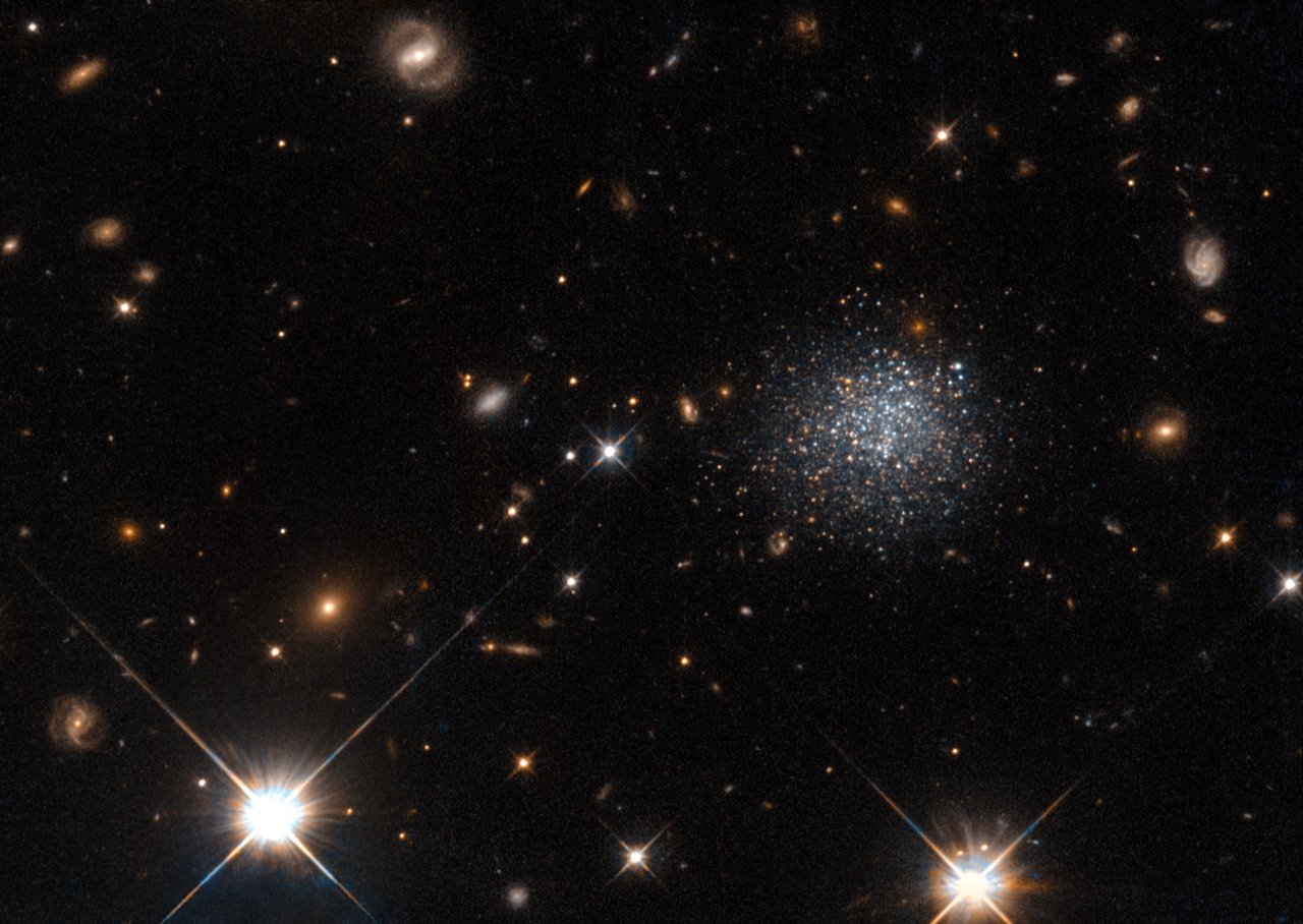 The fuzzy collection of stars seen in this NASA/ESA Hubble Space Telescope image forms an intriguing dwarf galaxy named LEDA 677373, located about 14 million light-years away from us. Dwarf galaxies are small, faint collections of stars and gas. Their diverse properties make them intriguing objects to astronomers, but their small size means that we can only explore those that lie closest to us,  within the Local Group, such as LEDA 677373. This particular dwarf galaxy contains a plentiful reservoir of gas from which it could form stars. However, it stubbornly refuses to do so. In a bid to find out why, Hubble imaged the galaxy’s individual stars at different wavelengths, a method that allows astronomers to figure out a star’s age. These observations showed that the galaxy has been around for at least six billion years — plenty of time to form stars. So why has it not done so? Rather than being stubborn, LEDA 677373 seems to have been the unfortunate victim of a cosmic crime. A nearby giant spiral galaxy, Messier 83, seems to be stealing gas from the dwarf galaxy, stopping new stars from being born.
