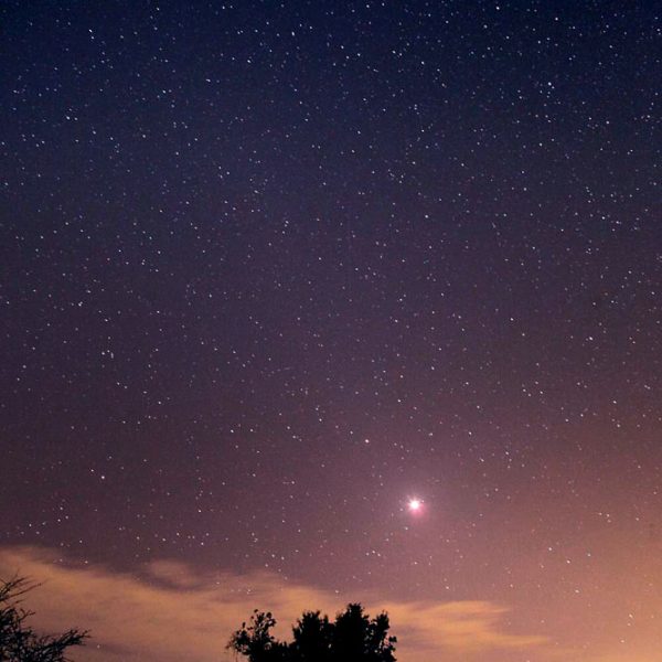 Prima Stella Della Sera Sirio O Venere