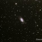 M81, galassia a spirale nell'Orsa Maggiore. Foto di Simone Fantini.