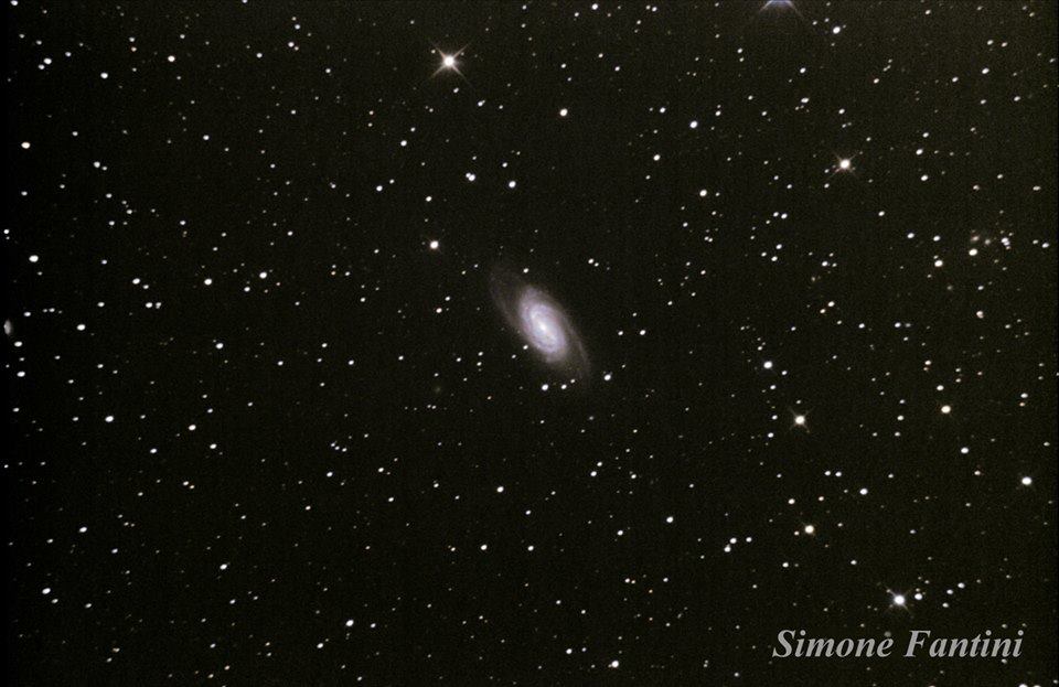 M81, galassia a spirale nell'Orsa Maggiore. Foto di Simone Fantini.
