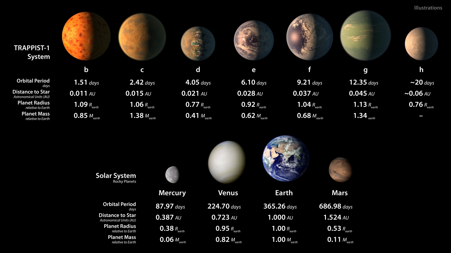 Schema comparativo tra i pianeti di Trappist-1 (resi artisticamente in base ai dati noti) e i quattro pianeti interni del Sistema Solare. AFP photo / ESO/NASA