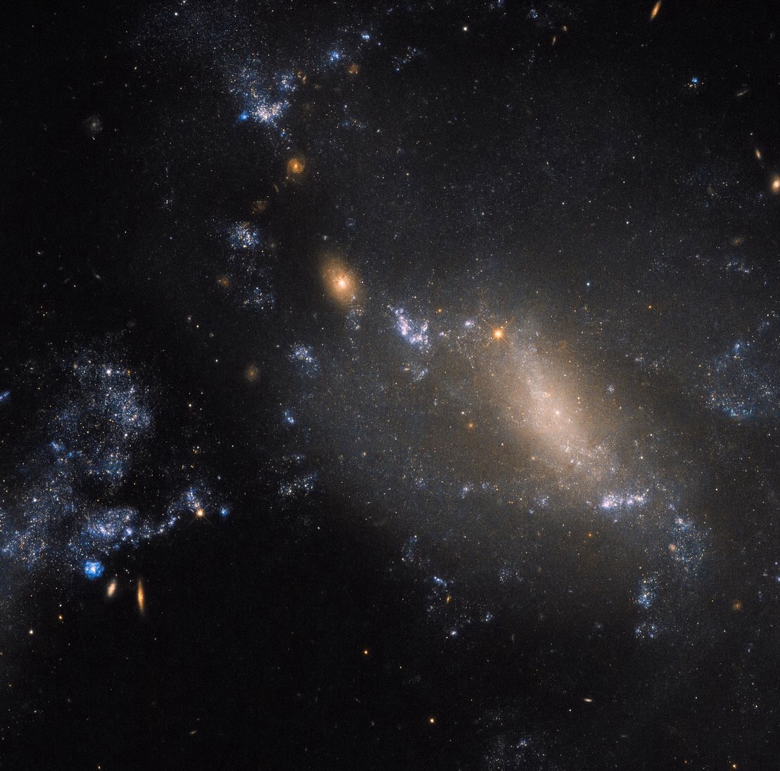 Some galaxies are harder to classify than others. Here, Hubble’s trusty Wide Field Camera 3 (WFC3) has captured a striking view of two interacting galaxies located some 60 million light-years away in the constellation of Leo (The Lion). The more diffuse and patchy blue glow covering the right side of the frame is known as NGC 3447 — sometimes NGC 3447B for clarity, as the name NGC 3447 can apply to the overall duo. The smaller clump to the upper left is known as NGC 3447A. The trouble with space is that it is, to state the obvious, really, really big. Astronomers have for hundreds of years been discovering and naming galaxies, stars, cosmic clouds and more. Unifying and regulating the conventions and classifications for everything ever observed is very difficult, especially when you get an ambiguous object like NGC 3447, which stubbornly defies easy categorisation.  Overall, we know NGC 3447 comprises a couple of interacting galaxies, but we’re unsure what each looked like before they began to tear one another apart. The two sit so close that they are strongly influenced and distorted by the gravitational forces between them, causing the galaxies to twist themselves into the unusual and unique shapes seen here. NGC 3447A appears to display the remnants of a central bar structure and some disrupted spiral arms, both properties characteristic of certain spiral galaxies. Some identify NGC 3447B as a former spiral galaxy, while others categorise it as being an irregular galaxy.  