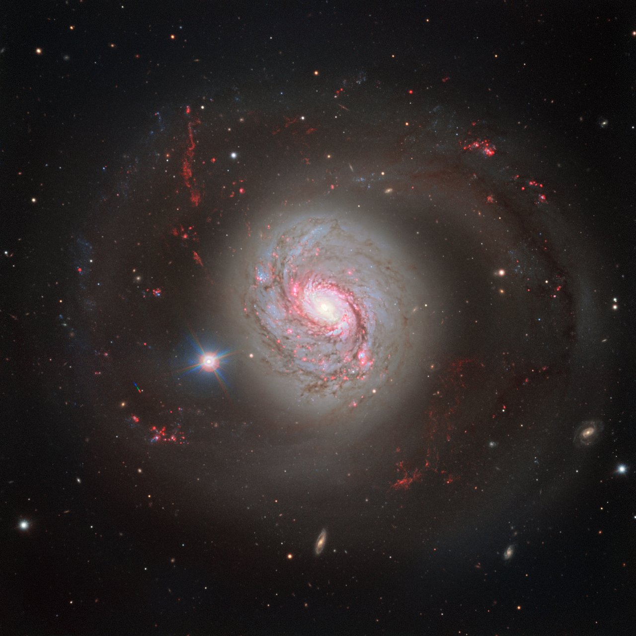 ESO’s Very Large Telescope (VLT) has captured a magnificent face-on view of the barred spiral galaxy Messier 77. The image does justice to the galaxy’s beauty, showcasing its glittering arms criss-crossed with dust lanes — but it fails to betray Messier 77’s turbulent nature.