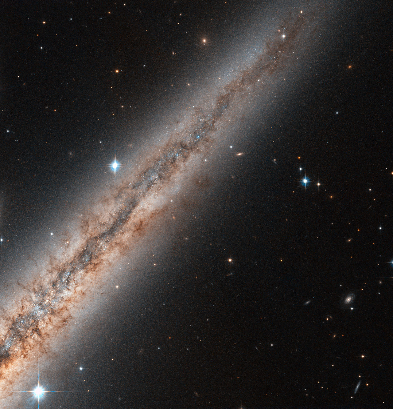 Visible  in the constellation of Andromeda, NGC 891 is located approximately 30  million light-years away from Earth. The NASA/ESA Hubble Space Telescope  turned its powerful wide field Advanced Camera for Surveys towards this  spiral galaxy and took this close-up of its northern half. The galaxy's  central bulge is just out of the image on the bottom left. The  galaxy, spanning some 100 000 light-years, is seen exactly edge-on, and  reveals its thick plane of dust and interstellar gas. While initially  thought to look like our own Milky Way if seen from the side, more  detailed surveys revealed the existence of filaments of dust and gas  escaping the plane of the galaxy into the halo over hundreds of  light-years. They can be clearly seen here against the bright background  of the galaxy halo, expanding into space from the disc of the galaxy. Astronomers  believe these filaments to be the result of the ejection of material  due to supernovae or intense stellar formation activity. By lighting up  when they are born, or exploding when they die, stars cause powerful  winds that can blow dust and gas over hundreds of light-years in space. A  few foreground stars from the Milky Way shine brightly in the image,  while distant elliptical galaxies can be seen in the lower right of the  image. NGC 891 is part of a small group of galaxies bound together by gravity.  A version of this image was entered into the Hubble’s Hidden Treasures Image Processing Competition by contestant Nick Rose. Hidden Treasures is an initiative to  invite astronomy enthusiasts to search the Hubble archive for stunning  images that have never been seen by the general public.