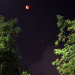 Luna in eclissi e Marte all'opposizione: la spettacolare coppia ripresa tra gli alberi ad Ostia Antica. [Foto di Paolo Colona]