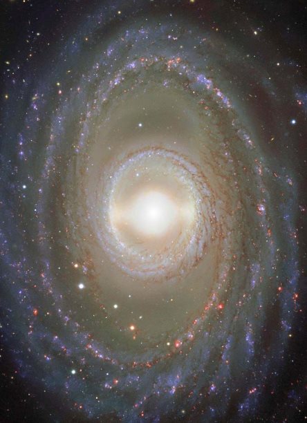NGC_1398--