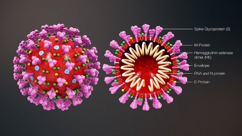Coronavirus-COVID19-SARS-CoV-2