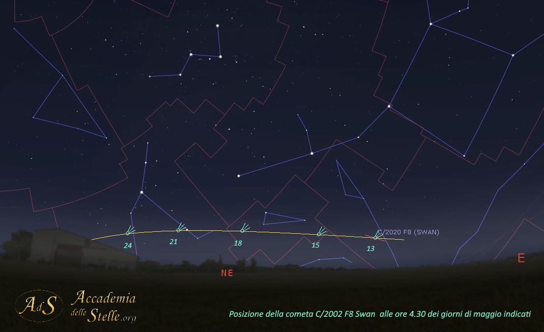 Carta stellare con la posizione della Cometa Swan nel mese di maggio nel cielo dell'alba