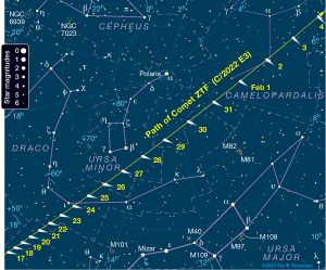 Posizione della cometa E3 ZTF durante il massimo di luminosità, fino al 4 febbraio [Sky And Telescope]