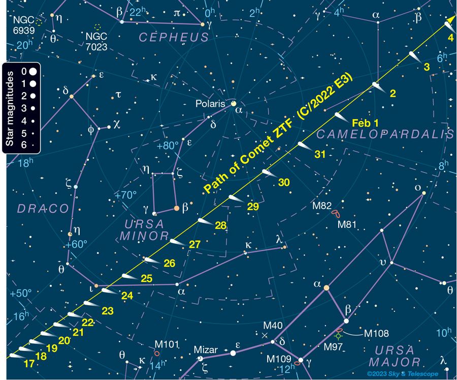 Posizione della cometa E3 ZTF durante il massimo di luminosità, fino al 4 febbraio [Sky And Telescope]