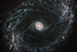 NGC 1433 (MIRI Image)