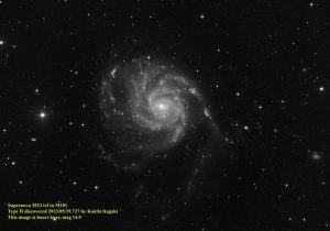 Supernova-M101-2023