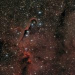 La delicata ed evanescente nebulosa Proboscide nella costellazione di Cefeo ripresa in tutta la sua bellezza da Antonella durante la nostra vacanza stellare.