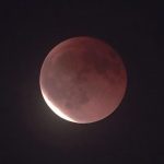 Il primo contatto con la luce solare (Foto Cristina Marzano)